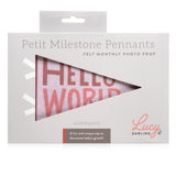 Petit Milestone Pennant || Blushing Meadow