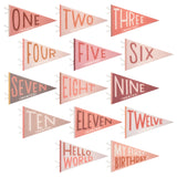 Petit Milestone Pennant || Blushing Meadow