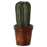 Miniature Flower Pot with Cactus