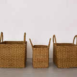 Harvest Gathering Basket, Rectangle || Large