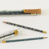 Greenhouse Mix Pencil Terrarium || Set of 5 Pencils