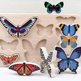 Bajo World of Butterflies
