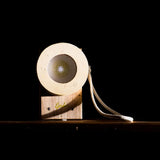 Eperfa Flashlight || Rose