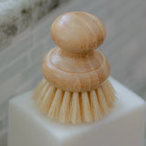 Dishwashing Brush || Casa Agave®