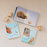 You Stole My Name || Board Book Box Set