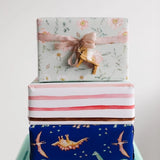 Gift Wrap Roll || Everyday Dinosaur