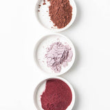 Egg Coloring & Seed Growing Kit