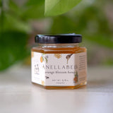 Anellabees Honey || Spring Orange Blossom