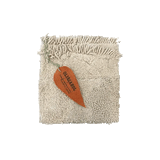 Textile Book || Cool Kids Eat Healthy