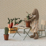 Miniature Flower Pot with Cactus