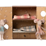 Ballet Mice in Dance Studio || Little Sister & Brother