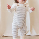 Savannah Jacquard Onepiece || Sheer Pink