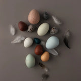 A Dozen Bird Eggs