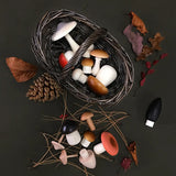 Forest Mushrooms Basket