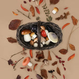 Forest Mushrooms Basket