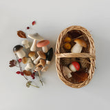 Forest Mushrooms Basket