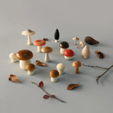 Forest Mushrooms Basket