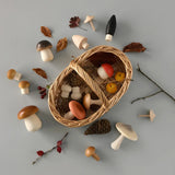 Forest Mushrooms Basket