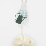 Bunny Greenhouse Cupcake Kit