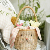 Surprise Balls || Hen & Chicks