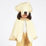 Lion Costume