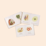 Our Little Adventures || Box Book Set