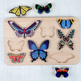 Bajo World of Butterflies