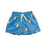 Baby Boys Swim Trunk || Blue Boston Terrier