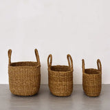 Harvest Gathering Basket, Oval || Small