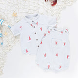 Baby Boys Noah Jumper || Lobster Check
