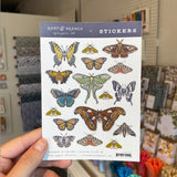 Eco Sticker Sheet || Butterflies + Moths