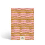 Guided Finance Planner || Start Small