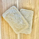Loofah Sponge