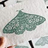 Handmade Block Print Paper || Seafoam Floral Moth