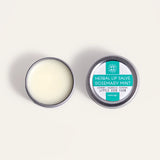 Lip Salve || Rosemary Mint