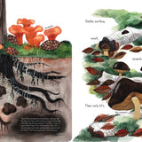 Fungi Grow