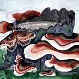 Fungi Grow