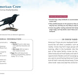 The Backyard Bird Sanctuary