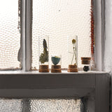 Specimen Bottles with Cork