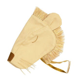Lion Costume