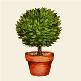 Topiary Cocktail Napkins || Set of 20