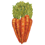 Carrots Table Accent || Set of 12