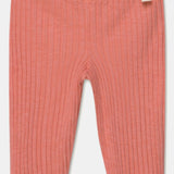 Rib Lettuce-Edge Bike Shorts || Coral