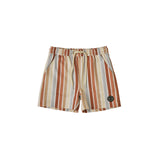 Swim Boardshort || Multi-Stripe