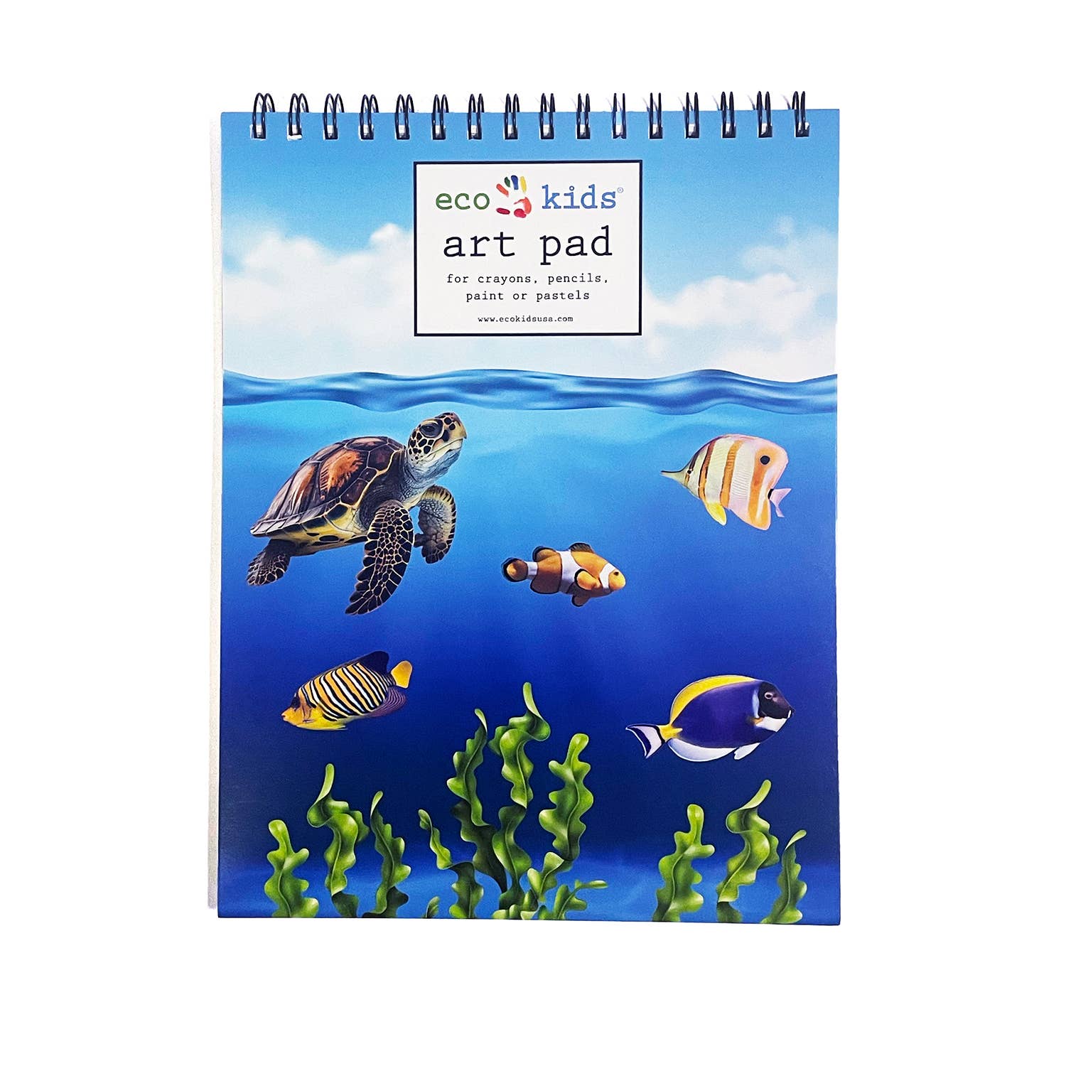 Art Pads || Assorted