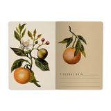 Notebook || Oranges & Blossoms 