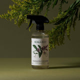 Stainless Steel Cleaner - Peppermint