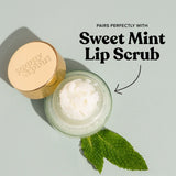 Lip Balm || Sweet Mint