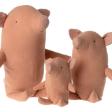 Baby Truffle Pig