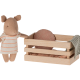 Baby Pig in a Box || Coral
